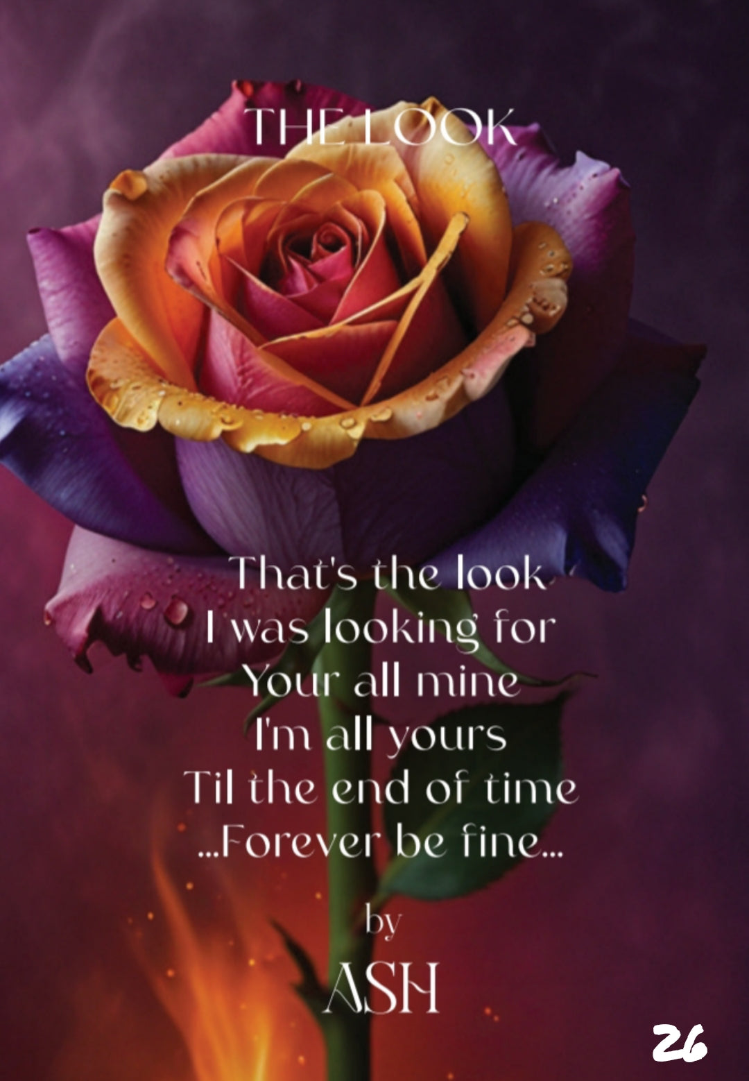 The Little Book of Love