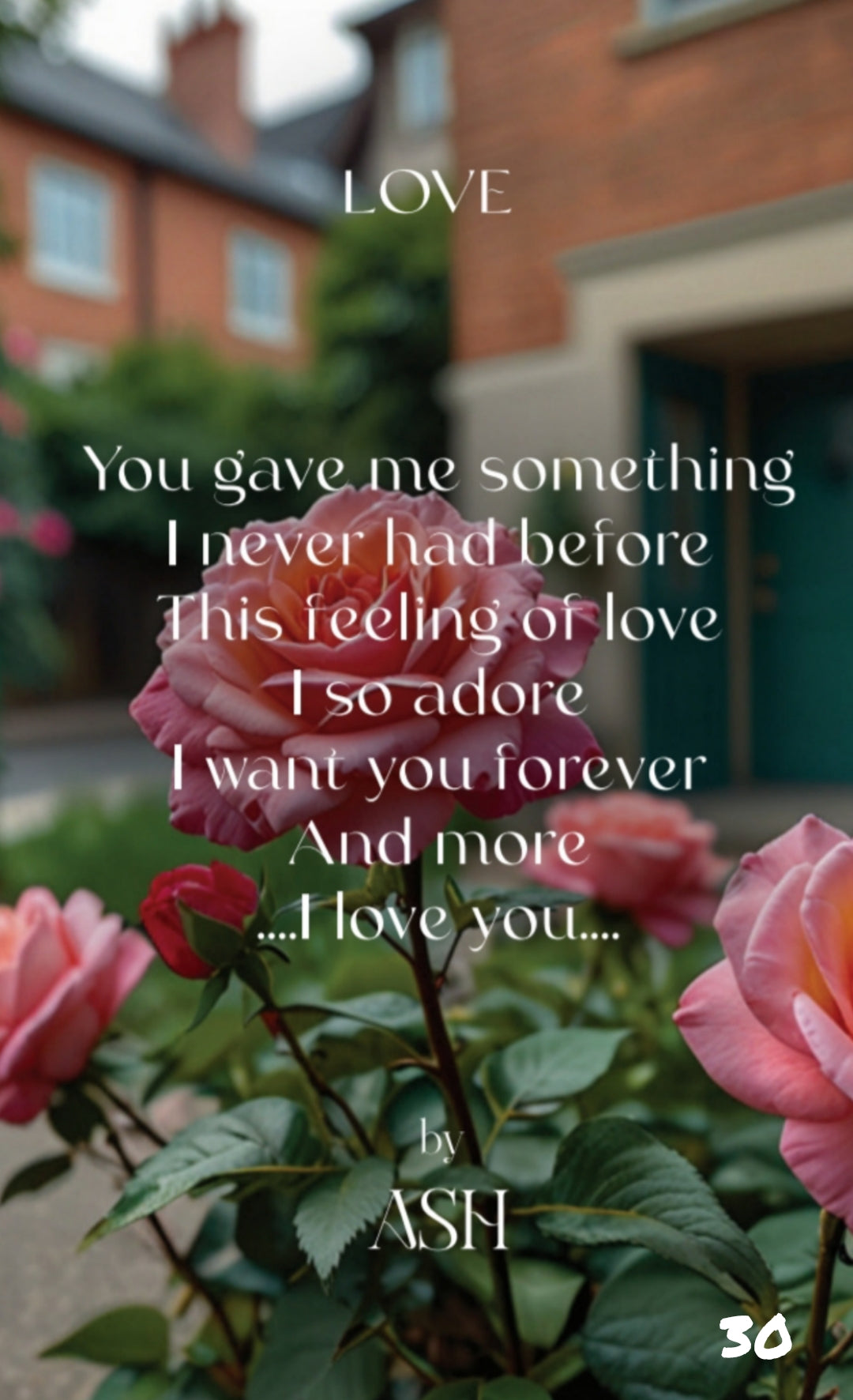 The Little Book of Love