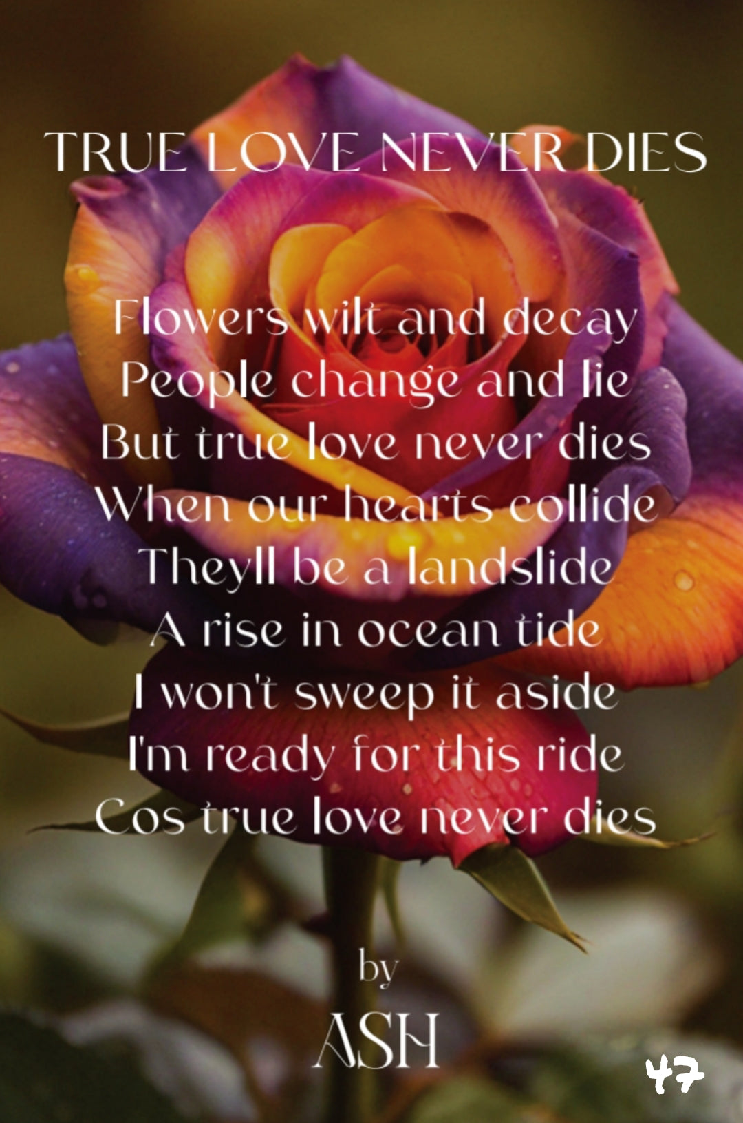 The Little Book of Love