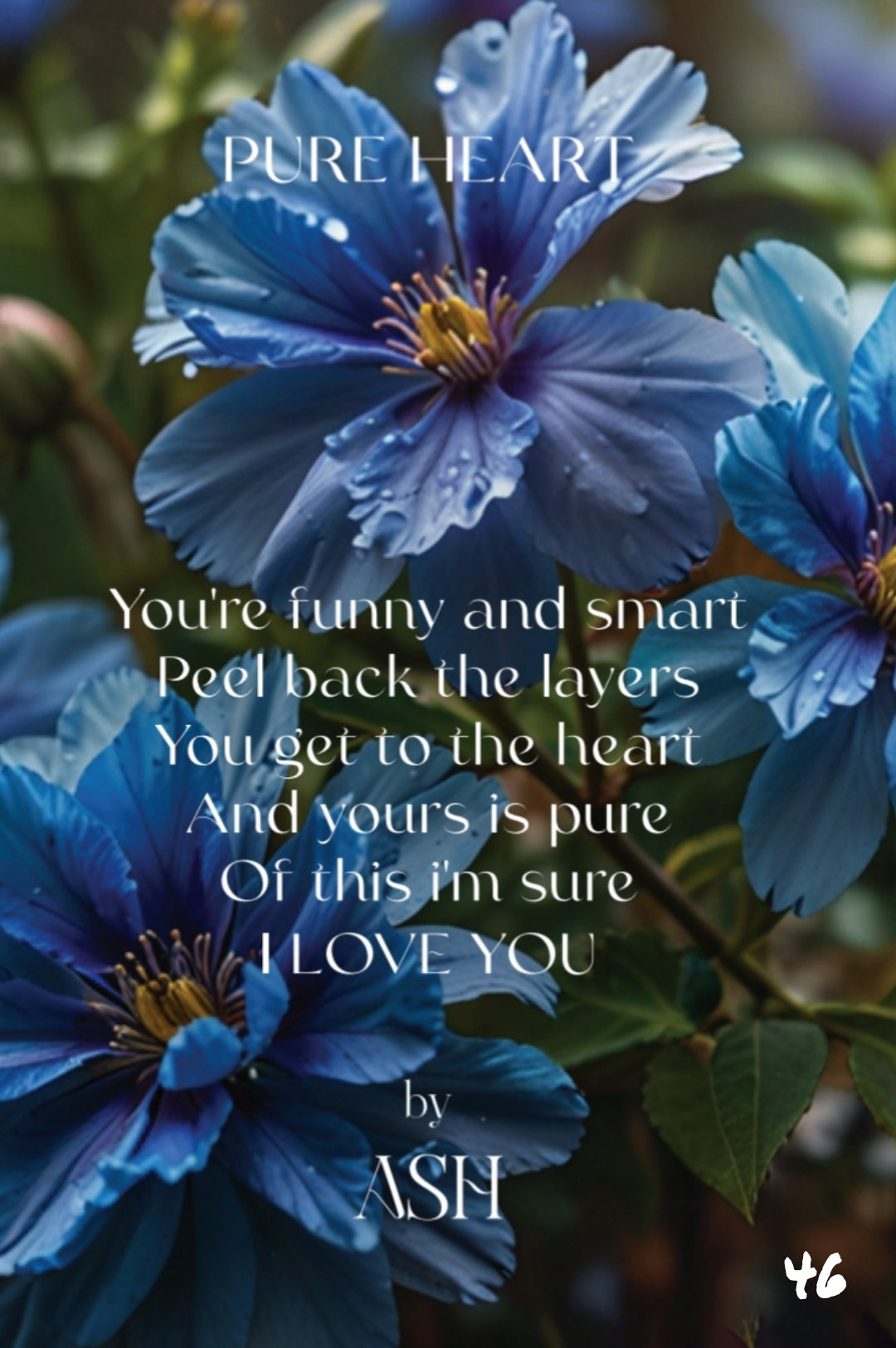 The Little Book of Love