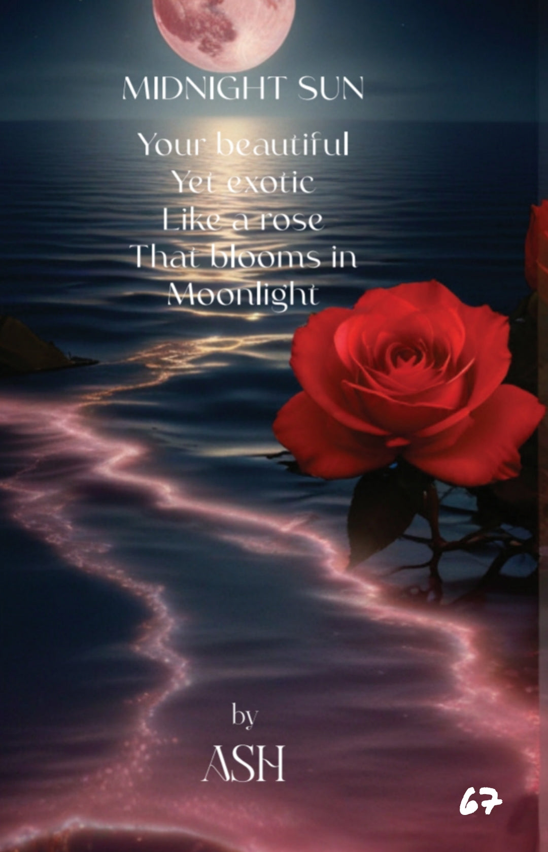 The Little Book of Love