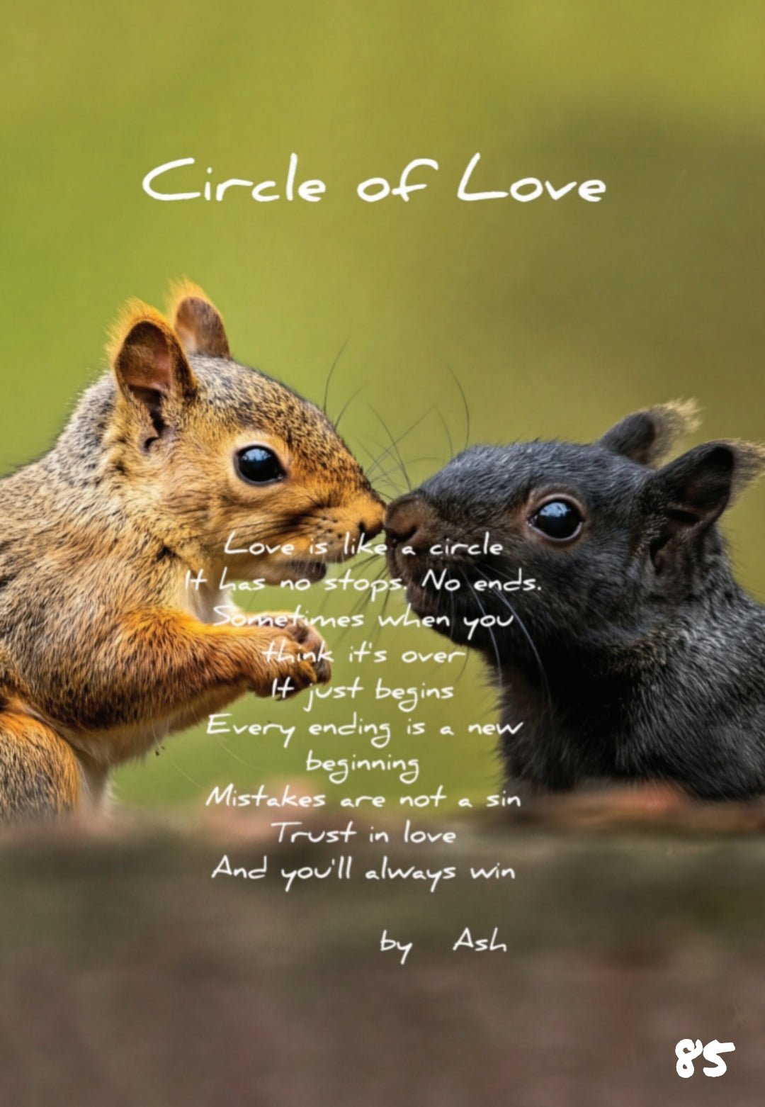 The Little Book of Love