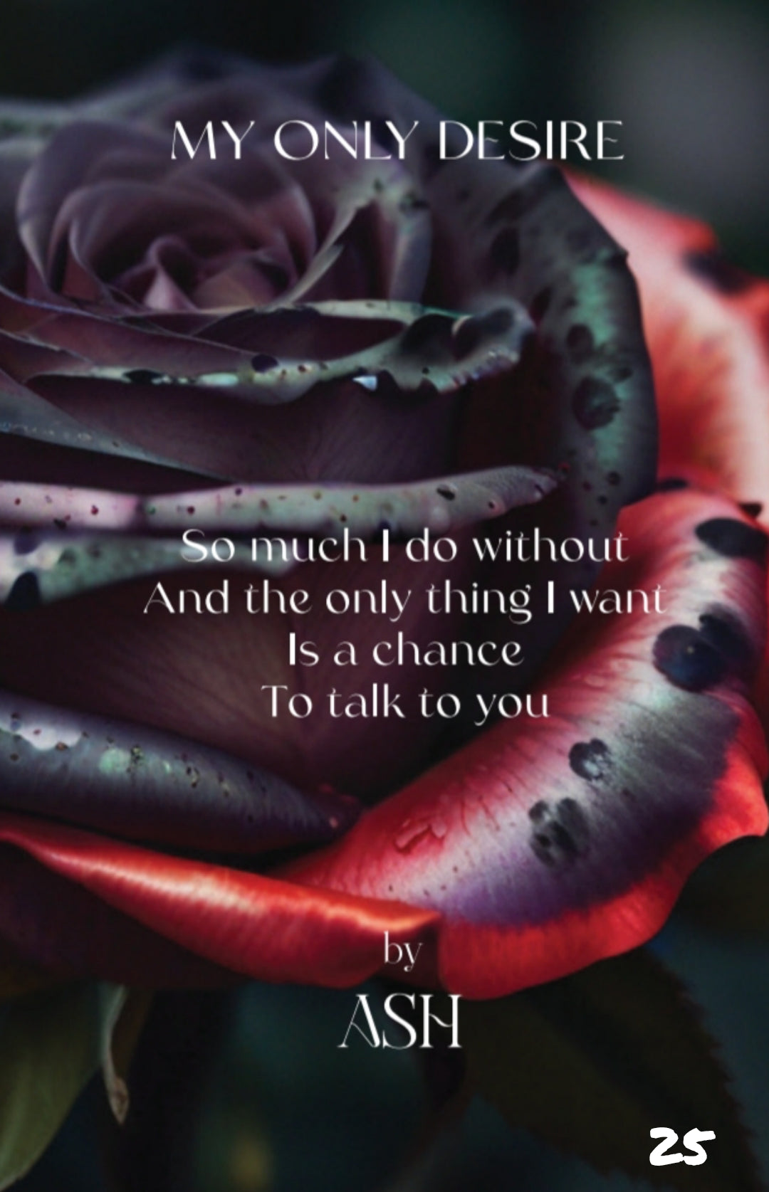 The Little Book of Love