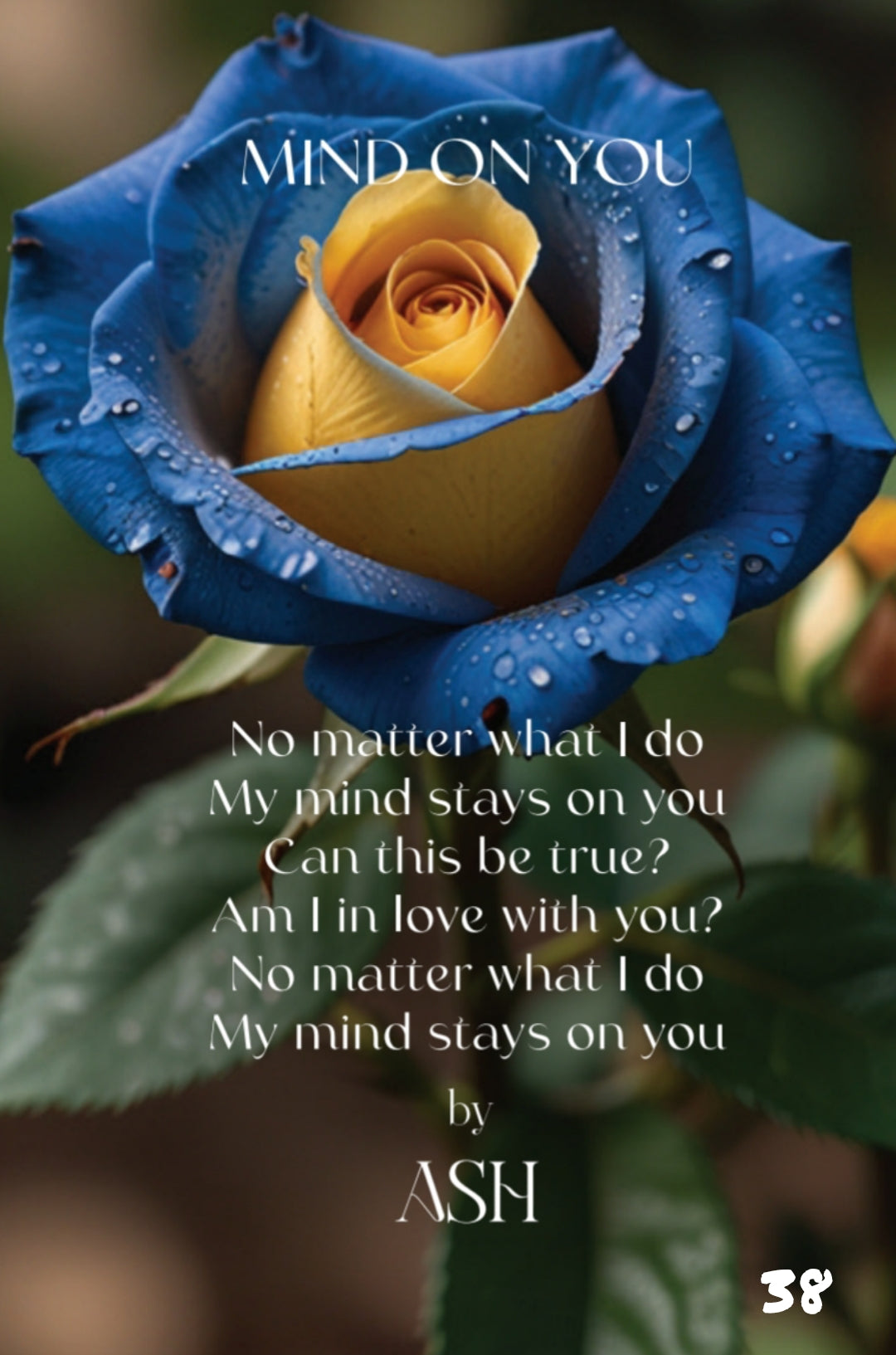 The Little Book of Love